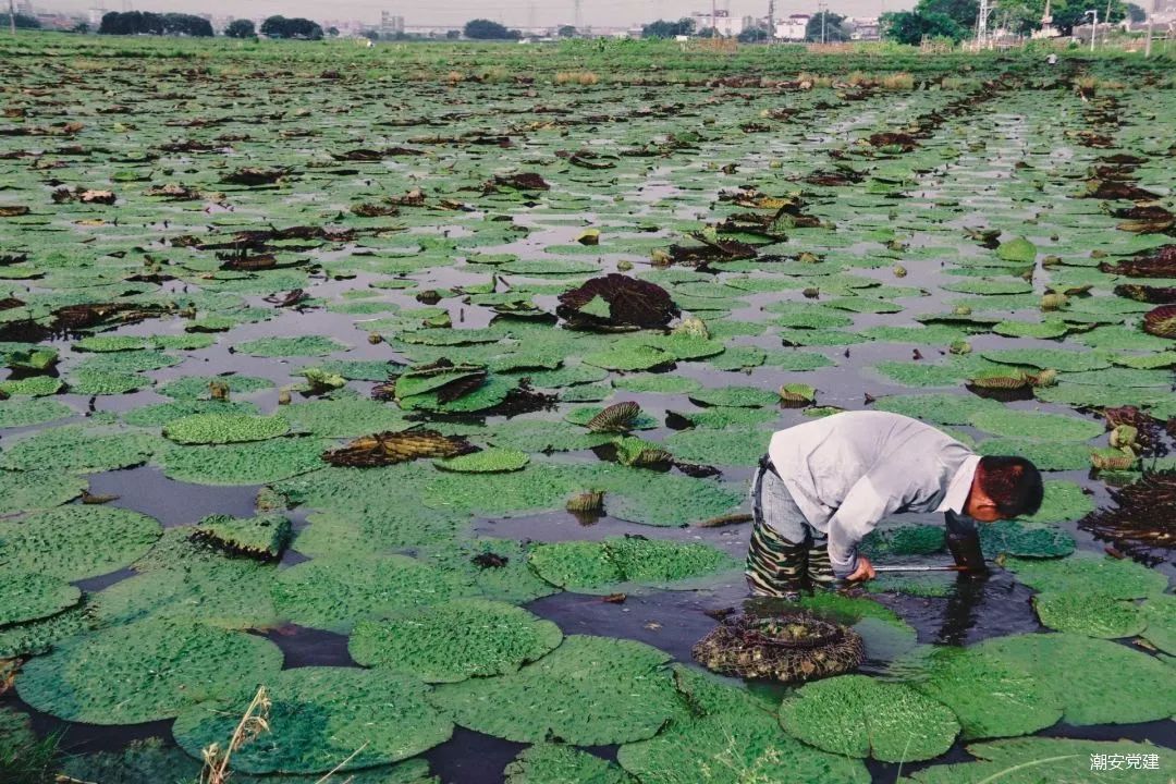 1690616013117907.jpg 1.jpg