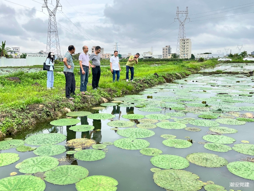 1690616018470853.png 2.png