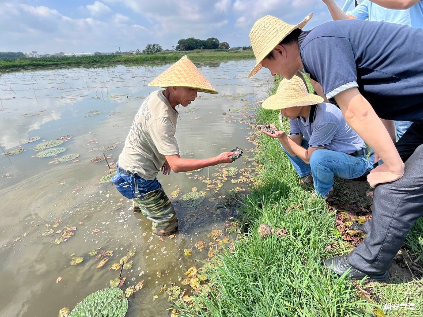 1690616043134457.png 4.png